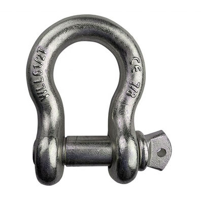 Acciaio durevole di Pin Type Heavy Duty Stainless della vite del dispositivo d'ancoraggio di ISO9001 D