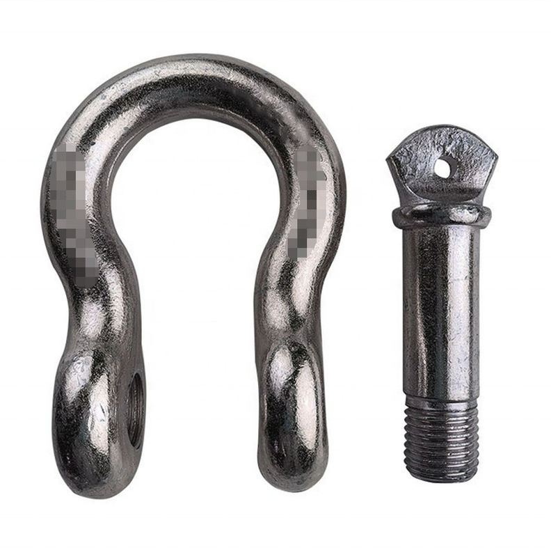 Acciaio durevole di Pin Type Heavy Duty Stainless della vite del dispositivo d'ancoraggio di ISO9001 D