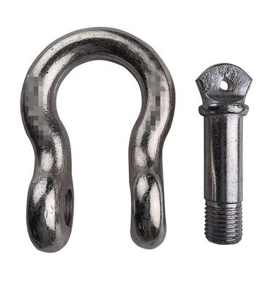 Acciaio durevole di Pin Type Heavy Duty Stainless della vite del dispositivo d'ancoraggio di ISO9001 D